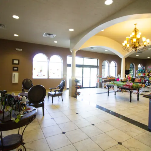 Interior of Elite Suites Pet Resort Southlake